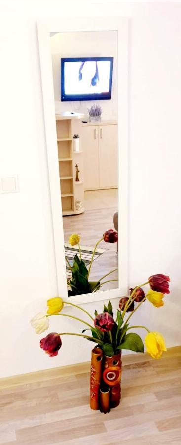 Castelului 2 Apartment Brasov Bagian luar foto