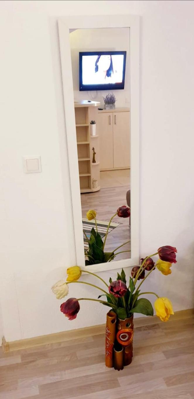 Castelului 2 Apartment Brasov Ruang foto